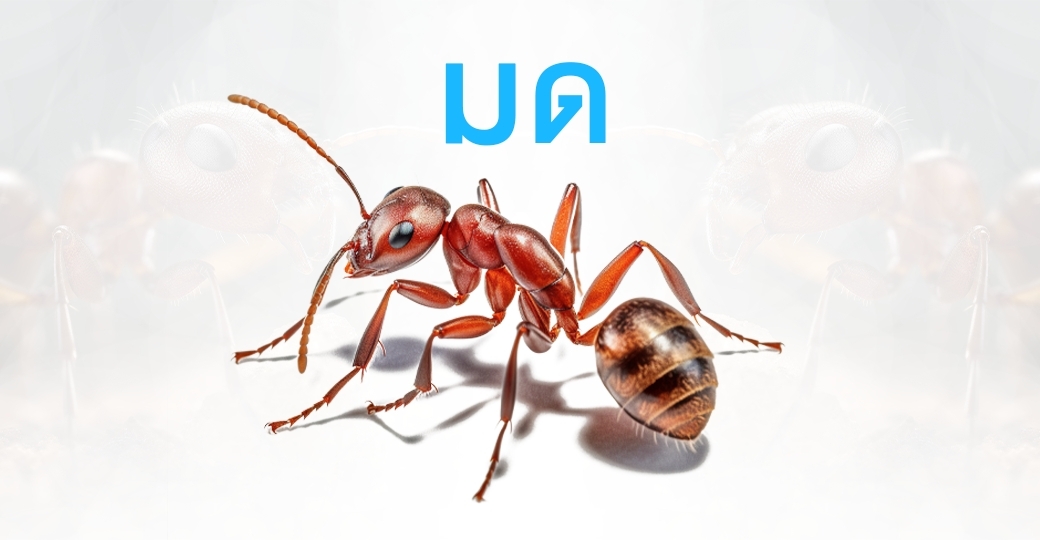 Ant