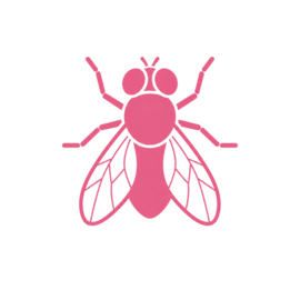 Pest Fly