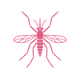Pest Mosquito