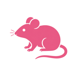 Pest Rat