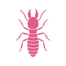 Pest Termite